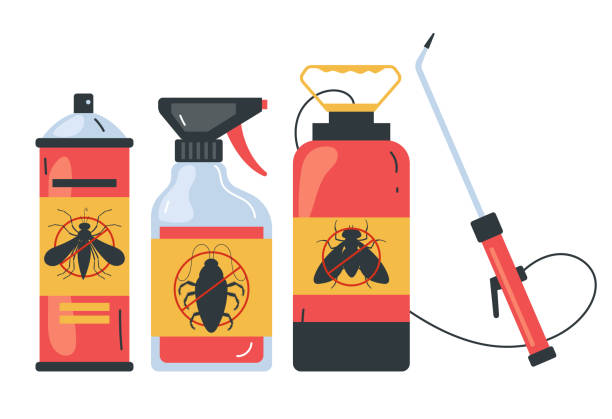 Wasp Removal Services in South Woodstock, CT